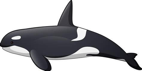 dibujo orcas